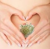 It's All About The Gut