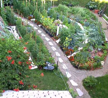 By mid summer the garden had filled out