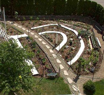 Most veggie plants were pre-started in containers, or purchased from garden
suppliers. Carrots, radishes, and beets can be planted using some simple tricks.
I will tell you later.