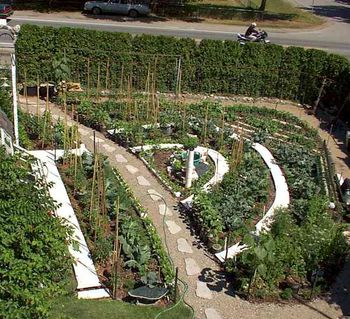 This pic was taken 3 weeks later.