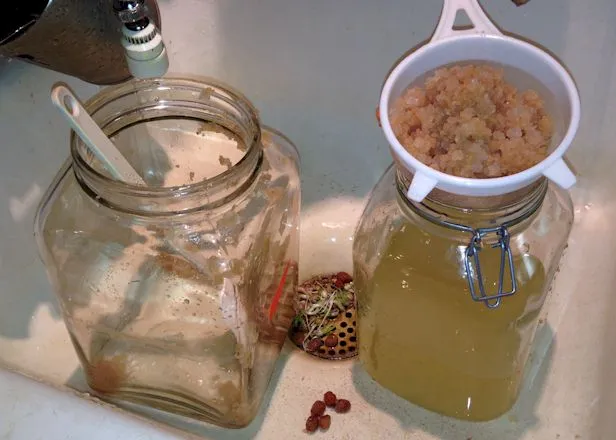 Water Kefir Straining