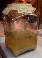 Water Kefir