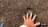 Thumbnail 197