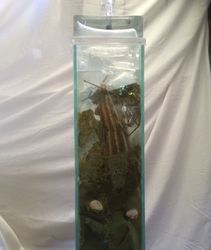 Big Larry is getting “kinky” in his old age!