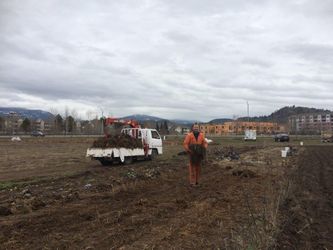 Lifting up the old straw was a LOT harder than putting it down!