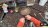 Thumbnail 18