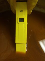 Perfect pH! 3.1 is very acidic and extremely safe.