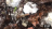 Thumbnail 218