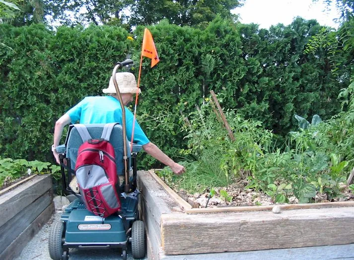 Person picking from raised bed