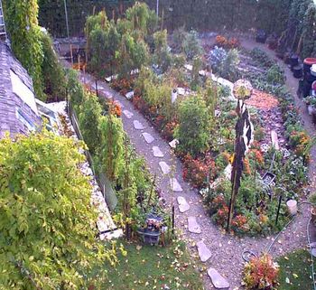 OK, by the last week of October we have a bit of frost.