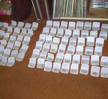 This is the special seed drying area (otherwise known as a living room).