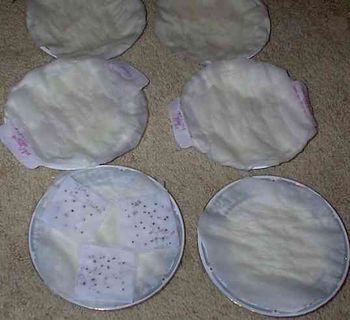 Place your seeds on onion paper folds marking in pencil the varieties. Water
with spray bottle. Place plates in baggies to avoid rapid drying out. If you put
a plate upside down on top you can stack the plates.