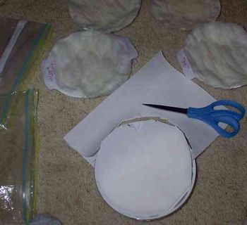 How it all starts:

Cut paper towels to fit in regular plates (not Styrofoam or paper, it molds!)
layering the towels to provide moisture without drowning.