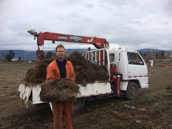 It was alot easier to put straw & silage down last year. Moving the garden a
couple hundred feet and running it east west is done!