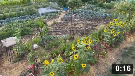Ferment Farm Number Five. August 12

Mulch Gardening
[/the-ferment-farm/posts/categories/mulch-gardening]