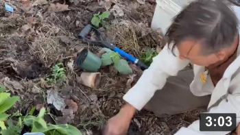 Vlog 23 (no catchup since 22) - “FANS ONLY” installing of the “Witch’s Garden.”
Somehow it turned into the growing demand for me to make more garden “porn.”
About as hard core dirt porn as i can get on our pig day.

Ribfest Day: Where we get to gather and celebrate our lowest place as a
carnivore.

Planting
[/the-ferment-farm/posts/categories/planting]