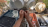 Thumbnail 17