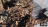 Thumbnail 220