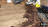 Thumbnail 204